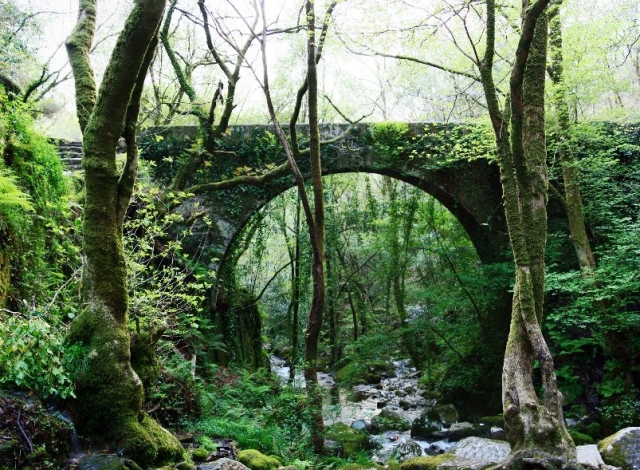 explrando la naturaleza de fragas de eume.jpg